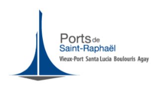 St Raphael logo