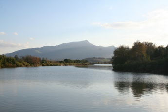 caspb image