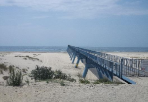 Arcachon